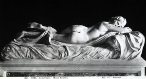 Slapende hermafrodiet