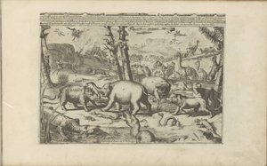 Aziatische en Afrikaanse dieren