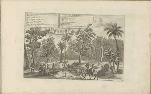 Bomen en specerijen door Romeyn de Hooghe
