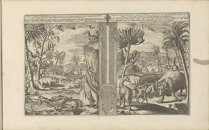 Dieren uit West-Indië door Romeyn de Hooghe