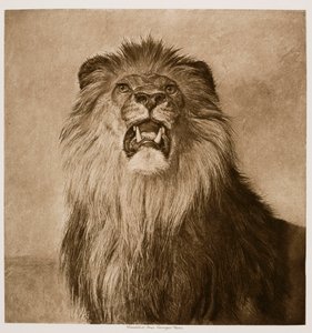  door Rosa Bonheur