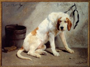 Le chien Barbaro après la chasse (Jachthond)