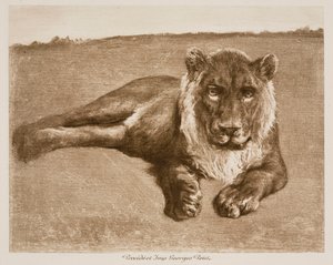  door Rosa Bonheur