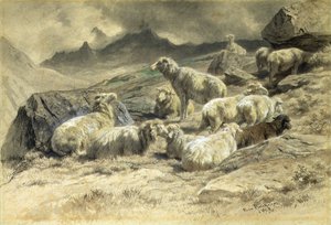 Schapen door Rosa Bonheur