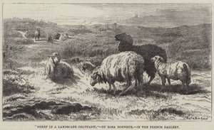 Schapen in een landschap, Bretagne