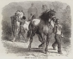 Schets van De paardenmarkt door Rosa Bonheur
