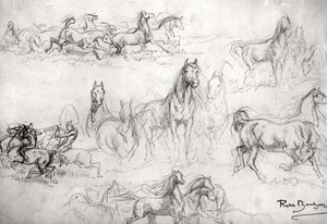 Studie van paarden
