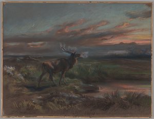 De roep van de Stag