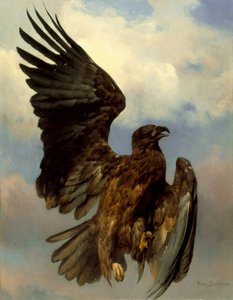 De gewonde adelaar
