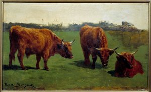 Drie studies van een rood rund in een wei. Schilderij door Rosa Bonheur (1822-1899) door Rosa Bonheur