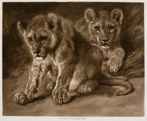  door Rosa Bonheur