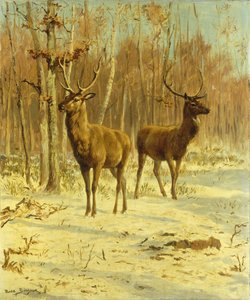 Twee herten in een open plek in de winter door Rosa Bonheur