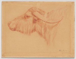  door Rosa Bonheur