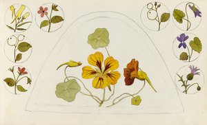 Ontwerpen met Oost-Indische kers en andere bloemen door Rosa Brett