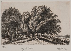 Landschap door Rosalie Holm