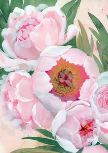 Roze pioenrozen in bloei door Rosana Laiz Blursbyai