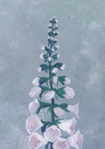 Witte vingerhoedskruidbloem door Rosana Laiz Blursbyai