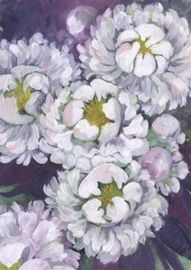 Witte pioenrozen in bloei door Rosana Laiz Blursbyai