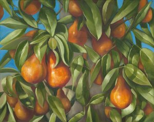 Peren 1, 2014
