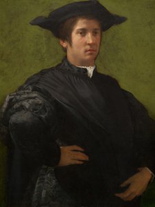 Portret van een Man