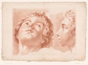 Twee hoofden van jongens