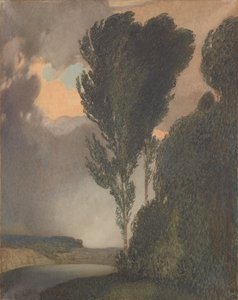 Stormachtig landschap