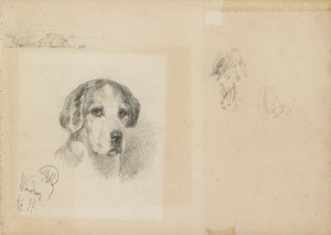 Portret van een hond: Windsor