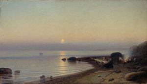 Aan de kust, 1882
