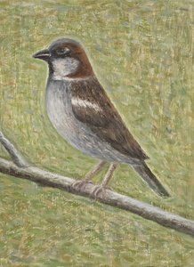 Huismus, 2008
