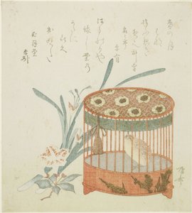 Vogelkooi en bloemen