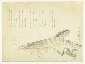 Kreeft en Inktvis door Ryuryukyo Shinsai