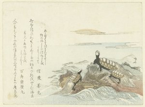 Schildpadden op een rots door Ryuryukyo Shinsai