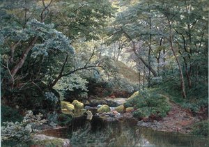 Een Bosbeek