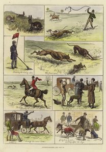 Coursing wedstrijden door S.T. Dadd
