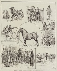 Schetsen op de Shire Horse Show, in de Royal Agricultural Hall, Islington