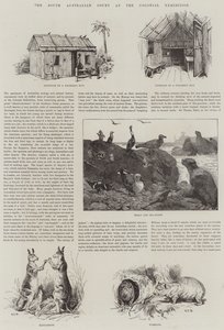 Het Zuid-Australische Hof op de Koloniale Tentoonstelling