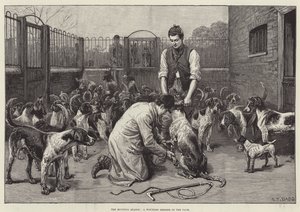 Het jachtseizoen, een gewond lid van de roedel (gravure)