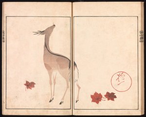  door Sakai Hoitsu