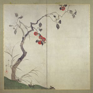 Kaki aan boom door Sakai Hoitsu