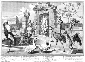 Kraanvogels en eenden door Salomon Kleiner