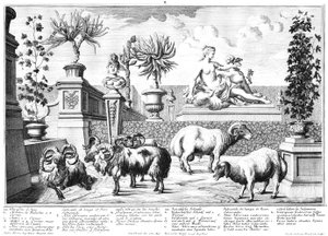 Schapen door Salomon Kleiner