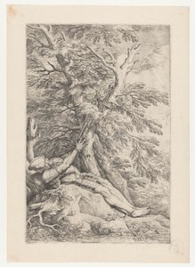 Heilige Willem van Maleval door Salvator Rosa