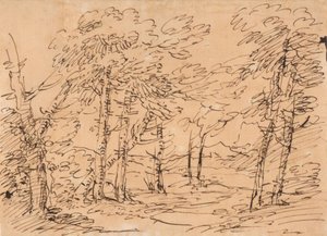 Landschap met bomen en bergen op de achtergrond door Salvator Rosa