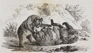 Beren van Asturië, Spanje, lithografie door Salvatore Puglia uit Poliorama Pittoresco, nr. 9, 7 oktober