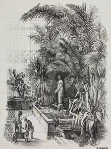 Laocoon en zijn zonen, Romeins standbeeld, lithografie uit Poliorama Pittoresco, nr. 1, 13 augustus