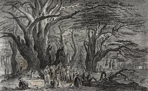 Oude ceders van Libanon in Tyrus, Libanon, uit Poliorama Pittoresco, nr. 25, 28 januari door Salvatore Puglia