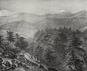 Uitzicht op de berg Libanon met zijn beroemde ceders, Libanon, lithografie uit Poliorama Pittoresco, nr. 10, 15 oktober door Salvatore Puglia