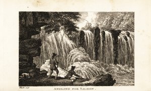 Visser die op zalm vist aan de oevers van een rivier nabij een waterval