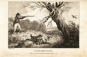 Jager met musket en spaniels op jacht naar snippen nabij een rivier