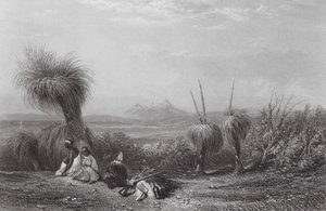 Australië: Grasboomvlakten